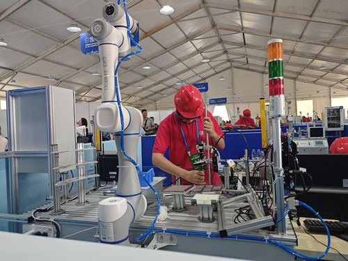 河南省第三屆職業(yè)技能大賽在開封開幕，技術(shù)服務(wù)引領(lǐng)未來